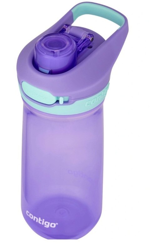 Butelka dziecięca Bidon Contigo Jessie ametyst 420ml